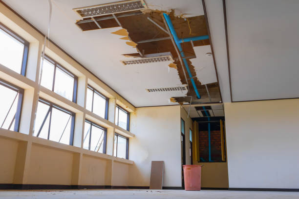 Best Water damage restoration specialists  in Archbald, PA