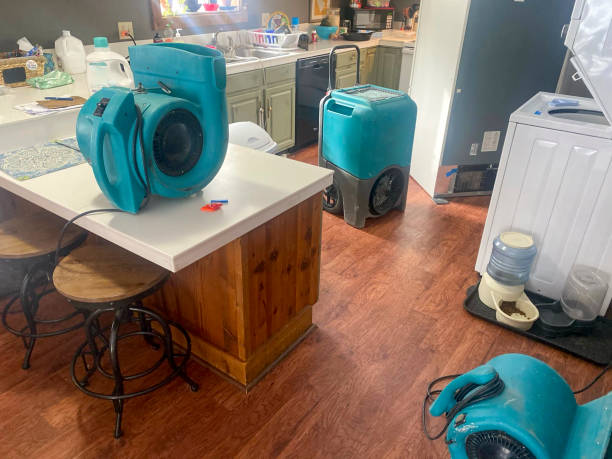  Archbald, PA Water damage restoration Pros
