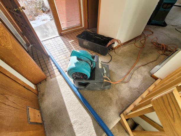Best Ceiling water damage repair  in Archbald, PA