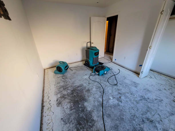 Water damage restoration mold remediation in Archbald, PA