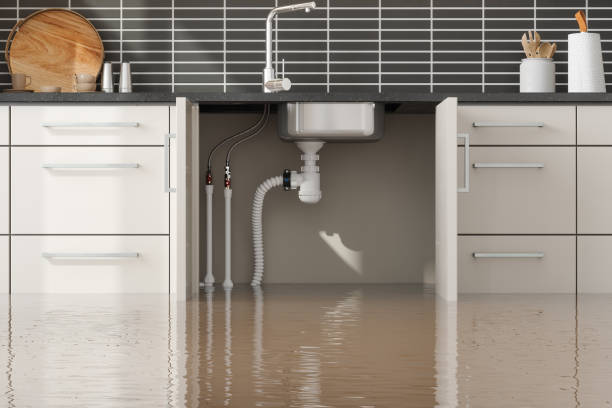Best Professional water damage repair  in Archbald, PA