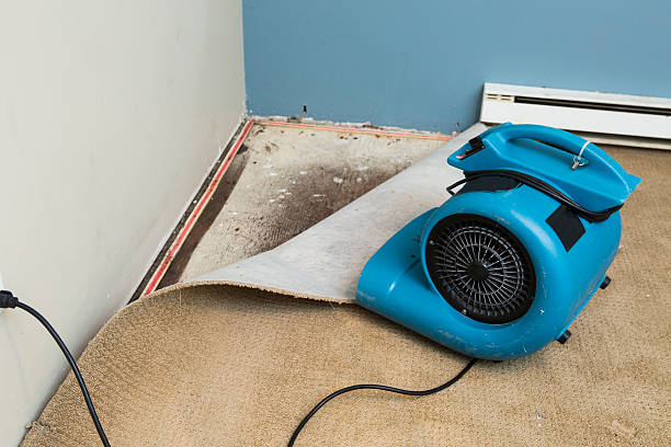 Best 24-hour water damage restoration  in Archbald, PA